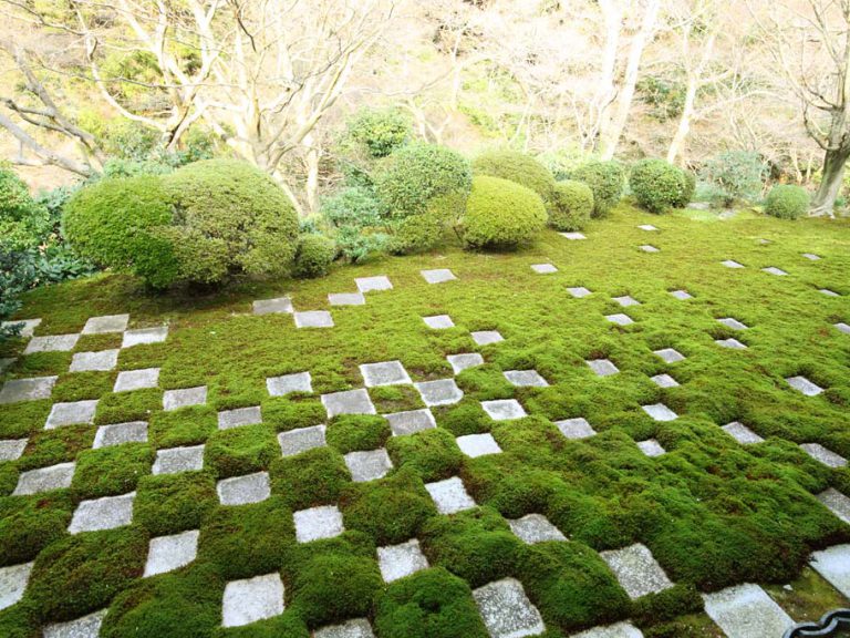 package_default_works_sample_01